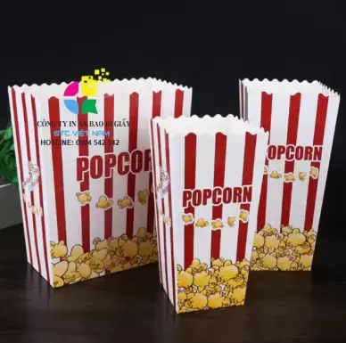 IN TÚI ĐỰNG BẮP RANG BƠ SỐ LƯỢNG ÍT