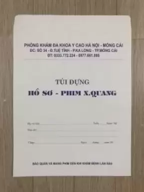In túi hồ sơ theo yêu cầu