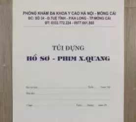 In túi hồ sơ theo yêu cầu